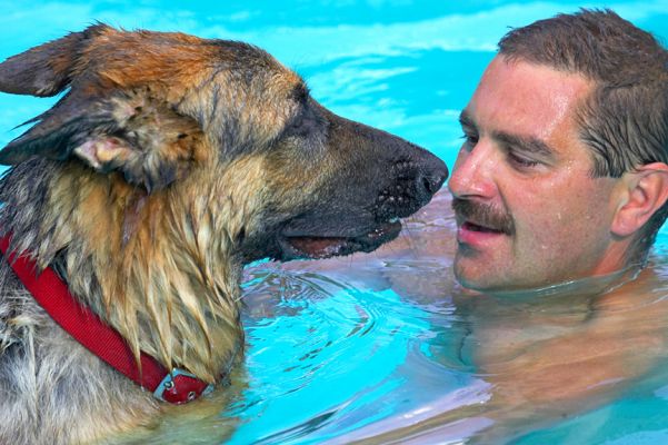 I'm glad you're in here with me
Keywords: Max German Shepherd Alsatian Zbigniew