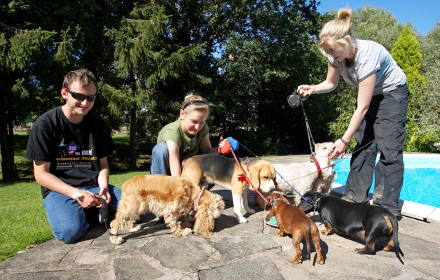 Hey, who said the humans could come too?
Palabras clave: Archie Beagle puppy birthday party cake Alicia American Cocker Spaniel Louis Remy Miniature Daschund Molly Scruffy West Highland Terrier Laura Grzegorz Julita
