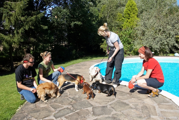 And a good time was had by all
Ključne besede: Archie Beagle puppy birthday party cake Alicia American Cocker Spaniel Louis Remy Miniature Daschund Molly Scruffy West Highland Terrier Grzegorz Julita Laura Petra