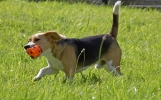ZJuly-28-2007-0009.jpg