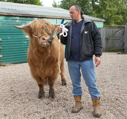 Ross of Bien Esk with Ian Crouch
Trefwoorden: Ross of Bien Esk Ian Crouch Highland bull Highland cattle