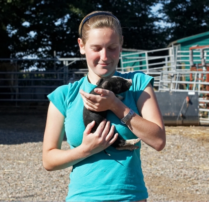 Aw, cute
The latest batch of Berkshire piglets had trouble feeding; either their mother wasn't bothered or her previous litter were pushing the little ones out of the way.  Fortunately, we have two veterinary students working here for the summer so they have been hand rearing the littlies.  Sadly, we lost 3 but the other 3 are doing well.
الكلمات الإستدلالية(لتسهيل البحث): Julita Berkshire pig piglet