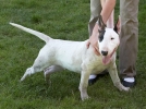ZJuly-31-2007-0031.jpg
