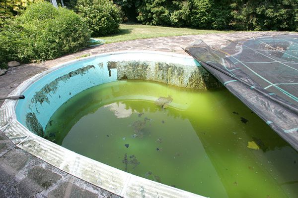 Whitecroft -- The Outdoor Pool
We haven't been in the outdoor pool since I can remember:  my guess is circa 1995 or so.  We had the liner changed about three or four years ago, so the water was changed then, but the liner installation was terrible and we never "opened" the pool.  It's so gross now that we're at least cleaning it out.  Lots of power washing and diluting with fresh, clean water.
Palabras clave: outdoor pool pool liner dirty water Whitecroft
