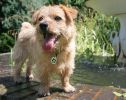 teddy-fountain.jpg