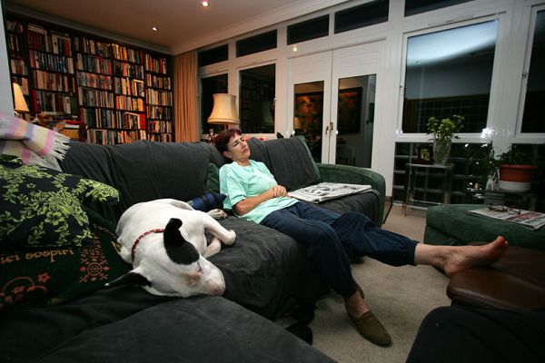 Kiko and Marjorie Having a Rest
It's been a long, tiring week-end.  Kiko and Marjorie having a bit of a rest with the newspapers in the front "dog" lounge.
Avainsanat: Kiko bull terrier Marjorie Whitecroft lounge newspaper sleeping resting