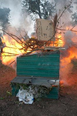 .......... and higher .........
Keywords: Bonfire Burning Fire Flame Flames