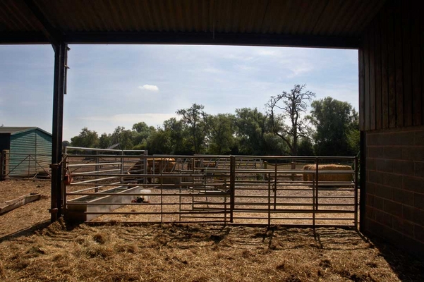 All quiet on the western front
Keywords: Farm Farm yard Yard