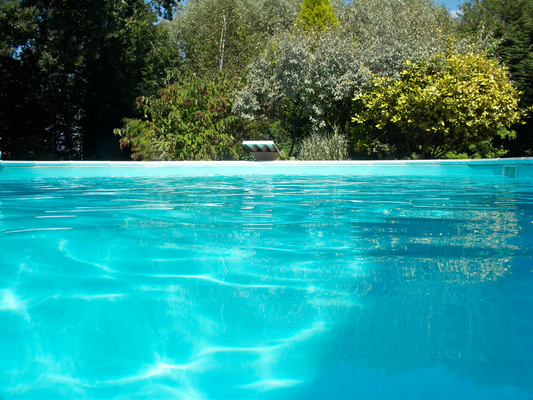 Jus' waiting for action
Whitecroft pool, summer evening, July 2008
Ключові слова: Garden Pool Swim Swimming Swimming pool Tree Trees