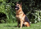 july_01_2007-0257.jpg