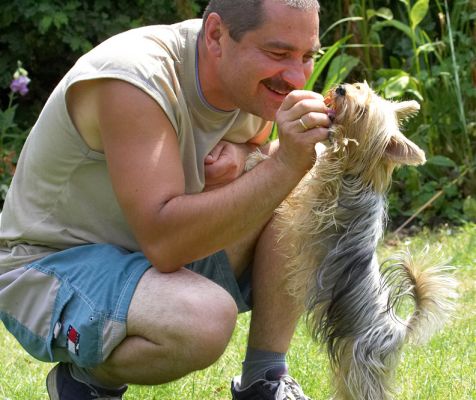 Got it!!
Ключові слова: Layla Yorkshire Terrier Zbigniew