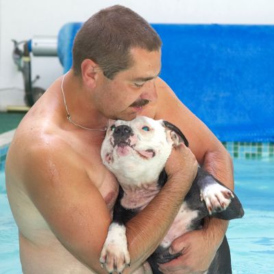 I love this guy
Ključne besede: Kess Staffordshire Bull Terrier Zbigniew