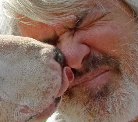 Licking two noses at the same time!
Palabras clave: Kiko English Bull Terrier Craig peanut butter