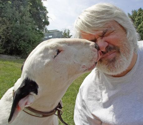 Kiko will take food anywhere he can get it!
Ključne besede: Kiko English Bull Terrier Craig peanut butter