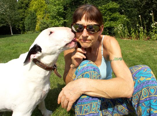 Gently does it!
Klíčová slova: Kiko English Bull Terrier peanut butter Marjorie