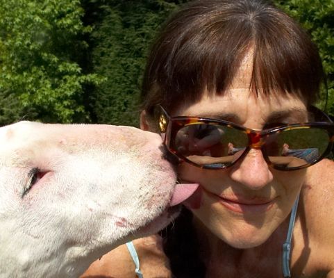Cheeky!
Palabras clave: Kiko English Bull Terrier peanut butter Marjorie
