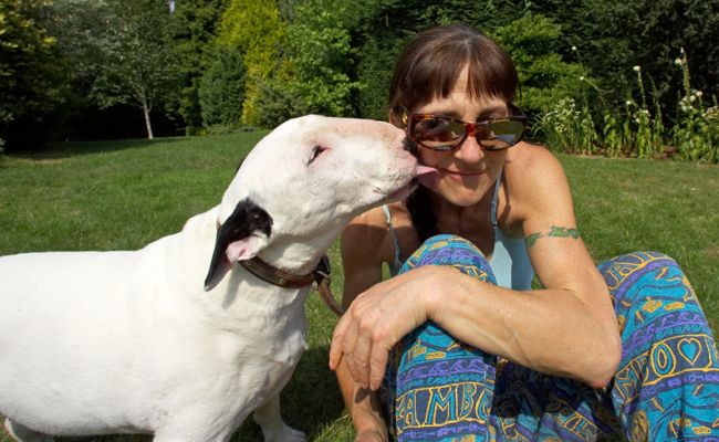 How much peanut butter is there?!
Trefwoorden: Kiko English Bull Terrier peanut butter Marjorie