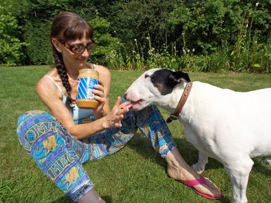 Two finger rule!
الكلمات الإستدلالية(لتسهيل البحث): Kiko English Bull Terrier peanut butter Marjorie