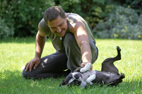 I know, I'm a hedonist
Trefwoorden: Cavi Boston Terrier Zbigniew