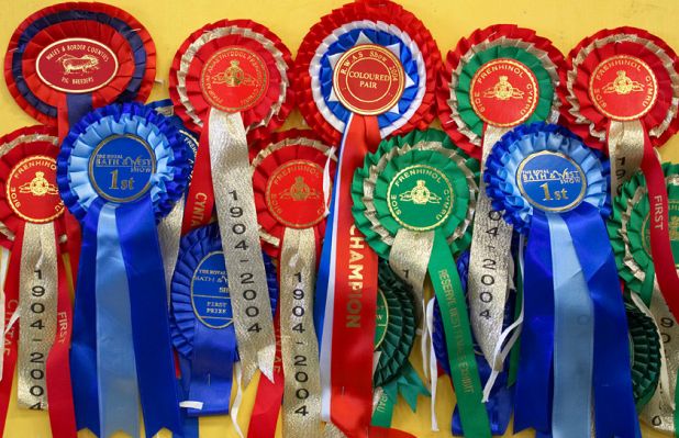 A Collection of Ribbons
In the sheep tent at the Three Counties Show, 2006
Trefwoorden: Ribbons Three Counties Show sheep prizes awards Malvern