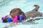 AJune-21-06-0051.jpg