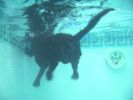 June-23-2006-0048.jpg