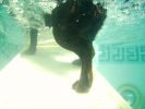 June-23-2006-0062.jpg