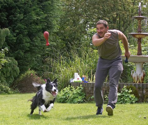 I'll get it!
Λέξεις-κλειδιά: Scooby Border Collie Zbigniew