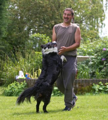 C'mon, let's play
Keywords: Scooby Border Collie Zbigniew