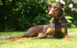 AJun-4-06-0132.jpg