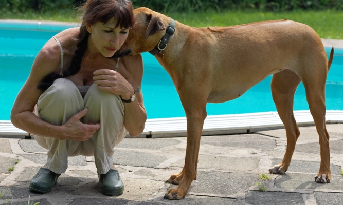 This is a secret
Schlüsselwörter: Sephi Rhodesian Ridgeback Marjorie