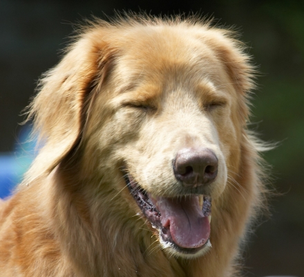 Hey, good joke..........
Palabras clave: Lisa Hovawart
