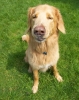 ZJune-09-2007-0091.jpg