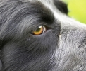 ZJune-09-2007-0161.jpg