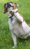 ZJune-09-2007-0259.jpg