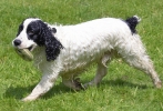 ZJune-01-2007-0252.jpg