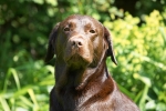 ZJune-01-2007-0382.jpg