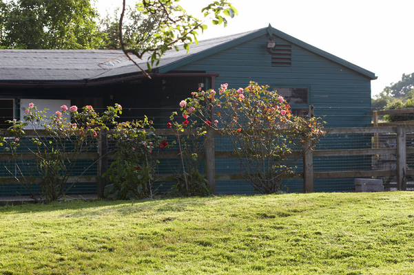 All quiet on the western front
Anahtar kelimeler: Block Farm gate Stable Wooden cow