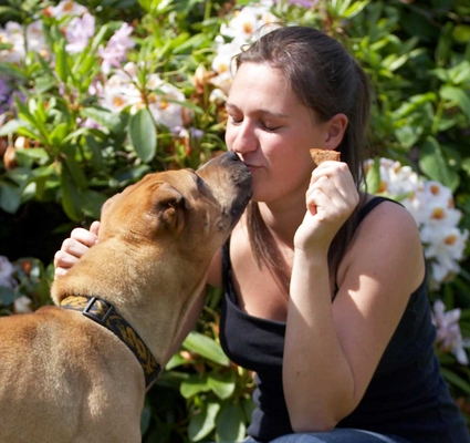 Mwah
Schlüsselwörter: Animal Animals Canine Canines Dog Dogs Kiss kissing Land Mammal Land Mammals Play Playng Playtime Shar-pei Shar-peis Stick Terrestrial Mammal Terrestrial Mammals Verity