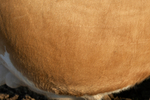 Z2Q9W6938.jpg