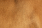Z2Q9W6940.jpg