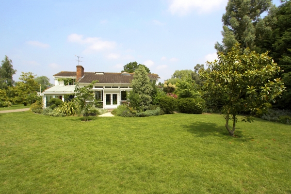 The Front Lawn at Whitecroft
Palabras clave: Garden Gardening Gardens Grass Lawn Lawns Summer Sunshine Whitecroft