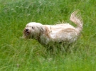 june_25_2007-0040.jpg