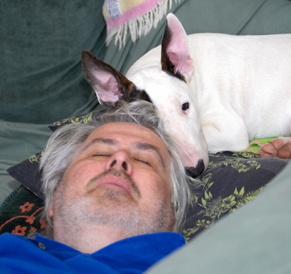 Good thing one of us is keeping an eye on things
Schlüsselwörter: Craig Dog Dogs English Bull Terrier Friends Mana Sleeping Terriers