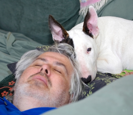 Yeah, I have to sleep with this old guy
Słowa kluczowe: Craig Dog Dogs English Bull Terrier Friends Mana Sleeping Terriers