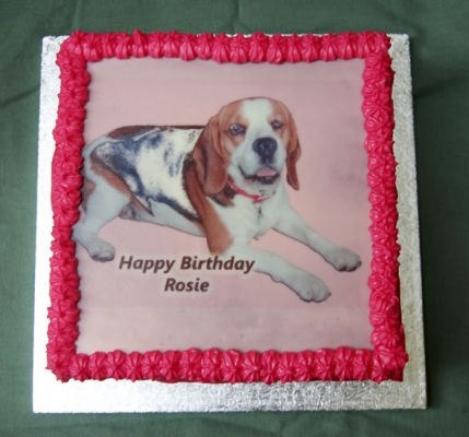 Happy Birthday
Keywords: Beagle Birthday Cake Dog Dogs