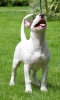 june_28_2007-0102_3.jpg
