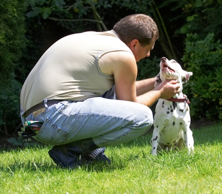 Yeah, scratch right there
Λέξεις-κλειδιά: Lucy Dalmatian Zbigniew