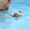 Dog_Albums-0079.jpg