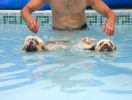 Dog_Albums-0113.jpg